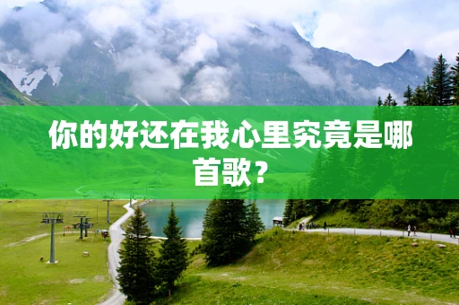 你的好还在我心里究竟是哪首歌？