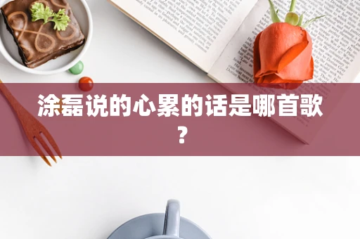 涂磊说的心累的话是哪首歌？