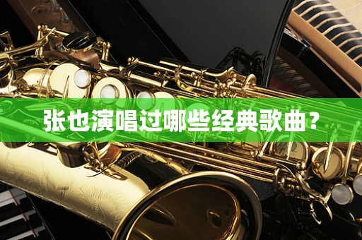 张也演唱过哪些经典歌曲？