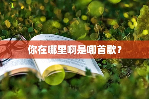 你在哪里啊是哪首歌？