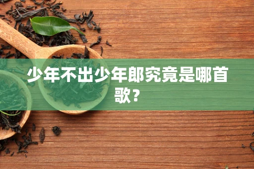 少年不出少年郎究竟是哪首歌？