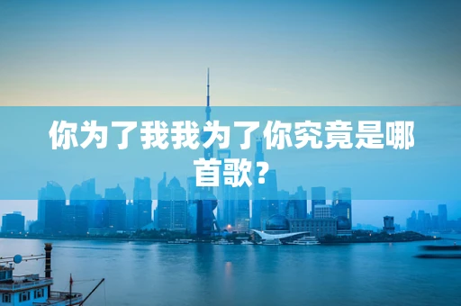 你为了我我为了你究竟是哪首歌？