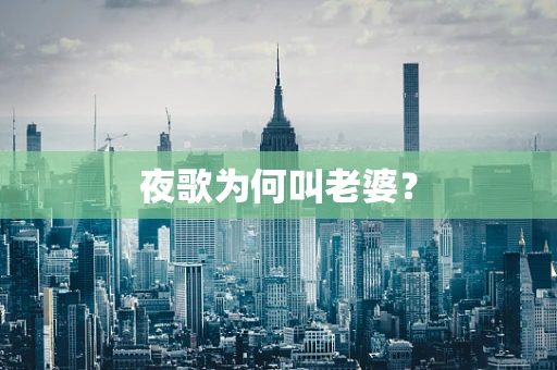 夜歌为何叫老婆？