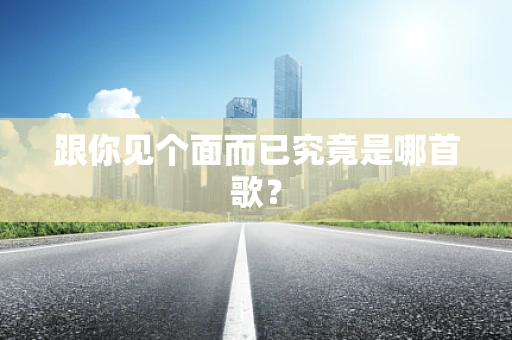 跟你见个面而已究竟是哪首歌？
