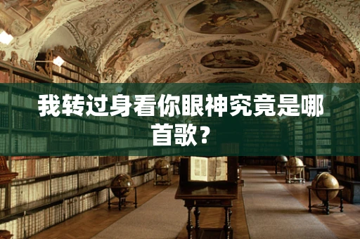 我转过身看你眼神究竟是哪首歌？