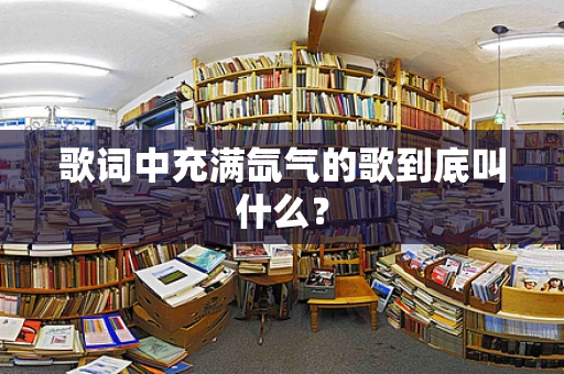 歌词中充满氙气的歌到底叫什么？