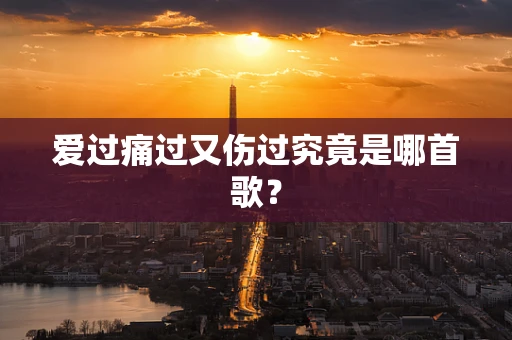 爱过痛过又伤过究竟是哪首歌？