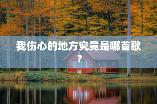 我伤心的地方究竟是哪首歌？