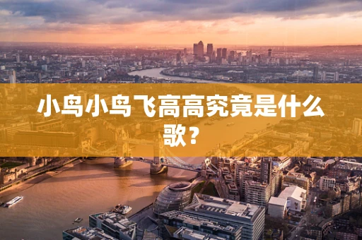 小鸟小鸟飞高高究竟是什么歌？