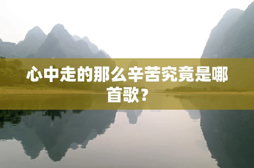 心中走的那么辛苦究竟是哪首歌？
