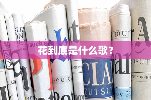 花到底是什么歌？