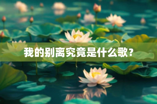 我的别离究竟是什么歌？