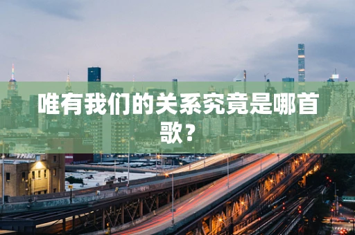 唯有我们的关系究竟是哪首歌？