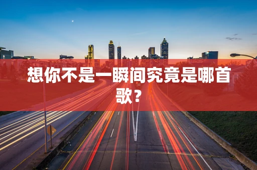 想你不是一瞬间究竟是哪首歌？