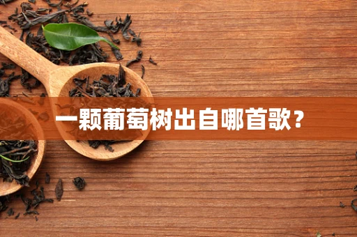 一颗葡萄树出自哪首歌？