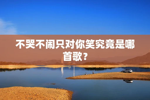 不哭不闹只对你笑究竟是哪首歌？