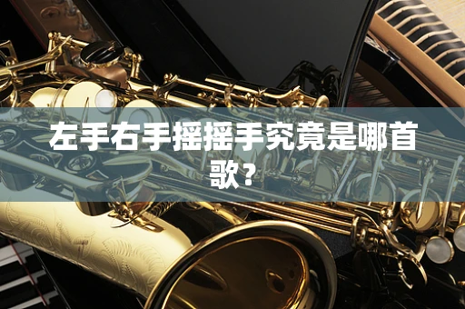 左手右手摇摇手究竟是哪首歌？