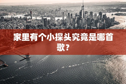 家里有个小探头究竟是哪首歌？