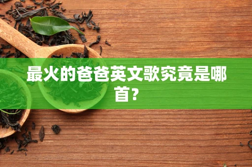 最火的爸爸英文歌究竟是哪首？