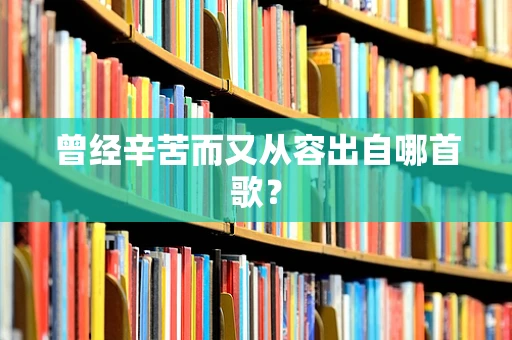 曾经辛苦而又从容出自哪首歌？
