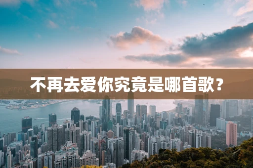 不再去爱你究竟是哪首歌？