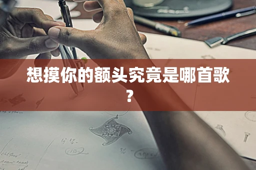 想摸你的额头究竟是哪首歌？