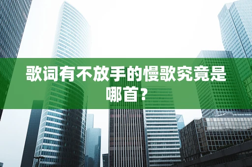 歌词有不放手的慢歌究竟是哪首？