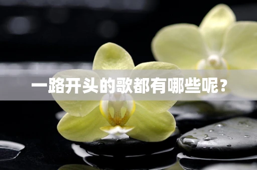 一路开头的歌都有哪些呢？