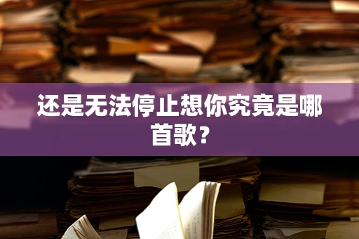 还是无法停止想你究竟是哪首歌？