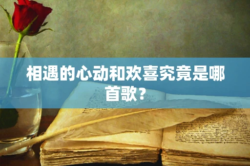 相遇的心动和欢喜究竟是哪首歌？