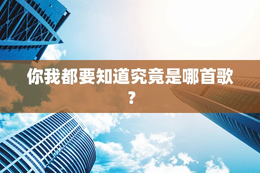 你我都要知道究竟是哪首歌？