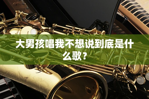 大男孩唱我不想说到底是什么歌？