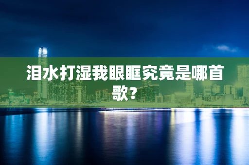 泪水打湿我眼眶究竟是哪首歌？
