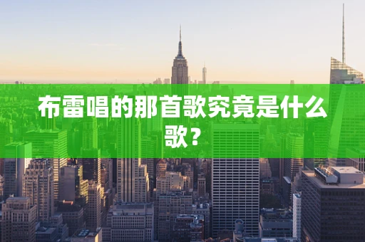 布雷唱的那首歌究竟是什么歌？