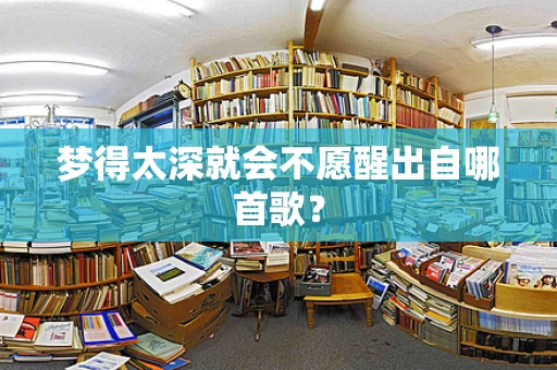 梦得太深就会不愿醒出自哪首歌？