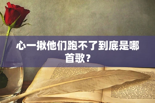 心一揪他们跑不了到底是哪首歌？