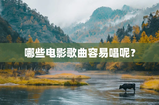 哪些电影歌曲容易唱呢？