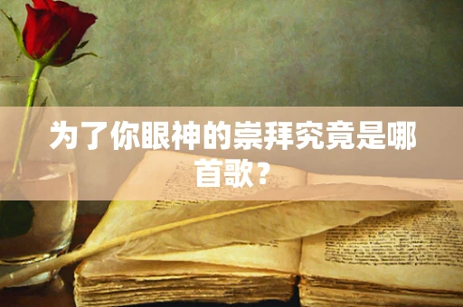为了你眼神的崇拜究竟是哪首歌？