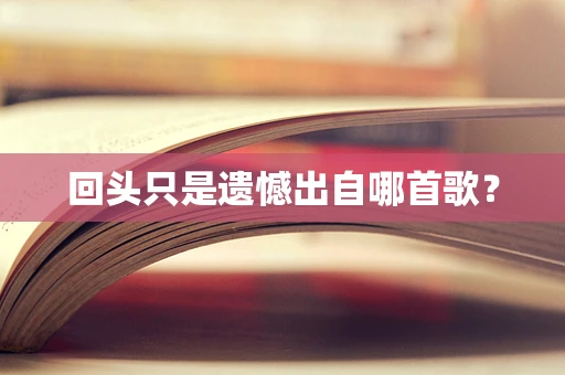 回头只是遗憾出自哪首歌？