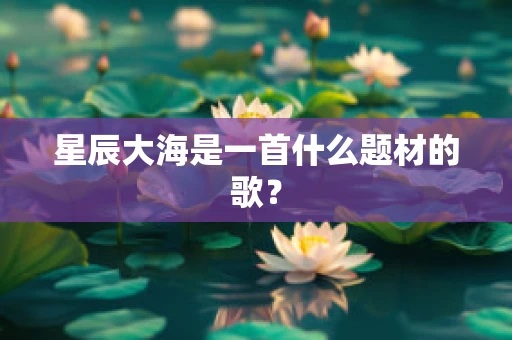 星辰大海是一首什么题材的歌？
