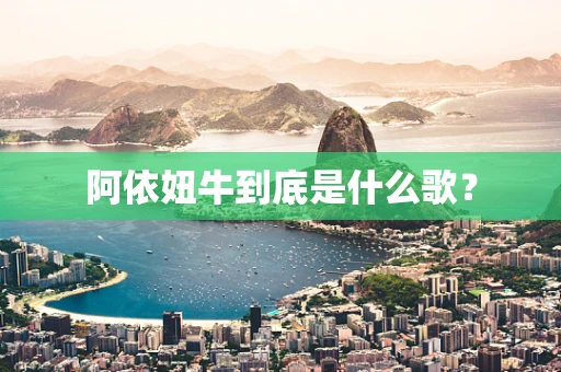 阿依妞牛到底是什么歌？