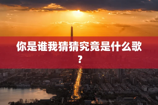 你是谁我猜猜究竟是什么歌？