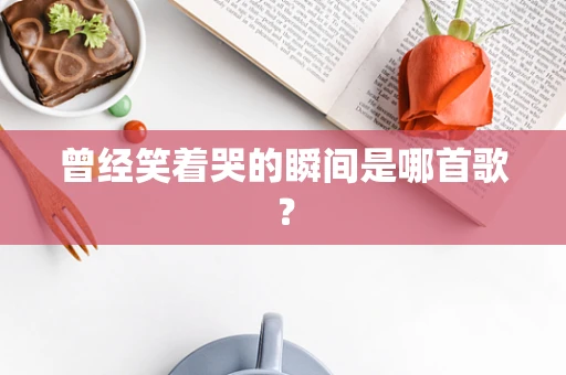 曾经笑着哭的瞬间是哪首歌？