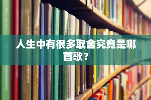 人生中有很多取舍究竟是哪首歌？