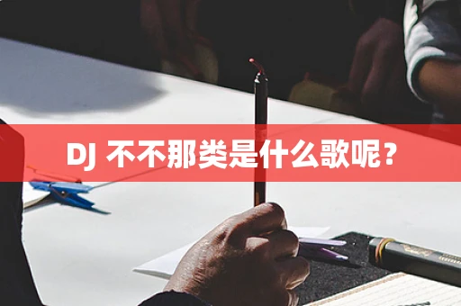 DJ 不不那类是什么歌呢？