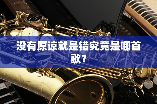没有原谅就是错究竟是哪首歌？