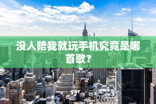 没人陪我就玩手机究竟是哪首歌？