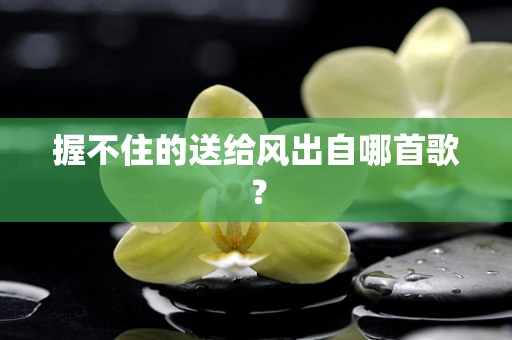 握不住的送给风出自哪首歌？