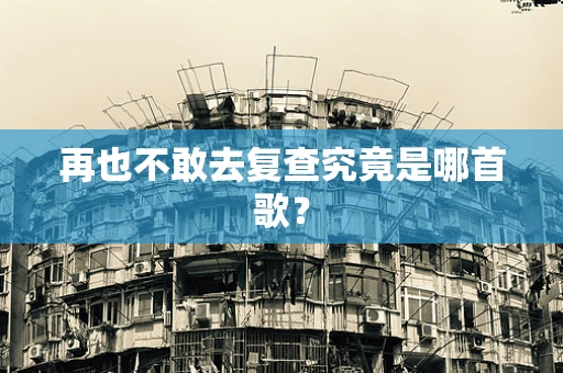 再也不敢去复查究竟是哪首歌？