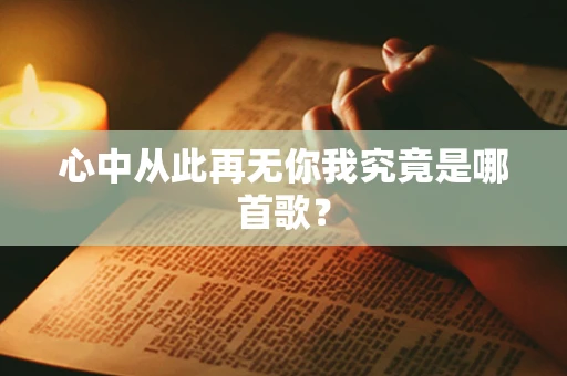 心中从此再无你我究竟是哪首歌？